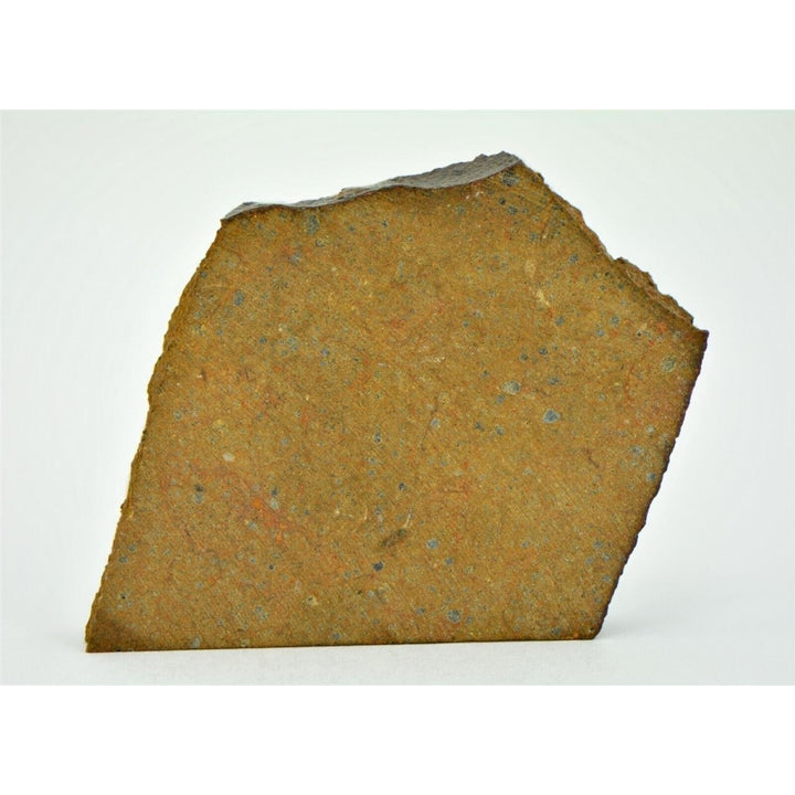 18.74g OUZINA R4 Chondrite Meteorite Slice - TOP METEORITE Image 1