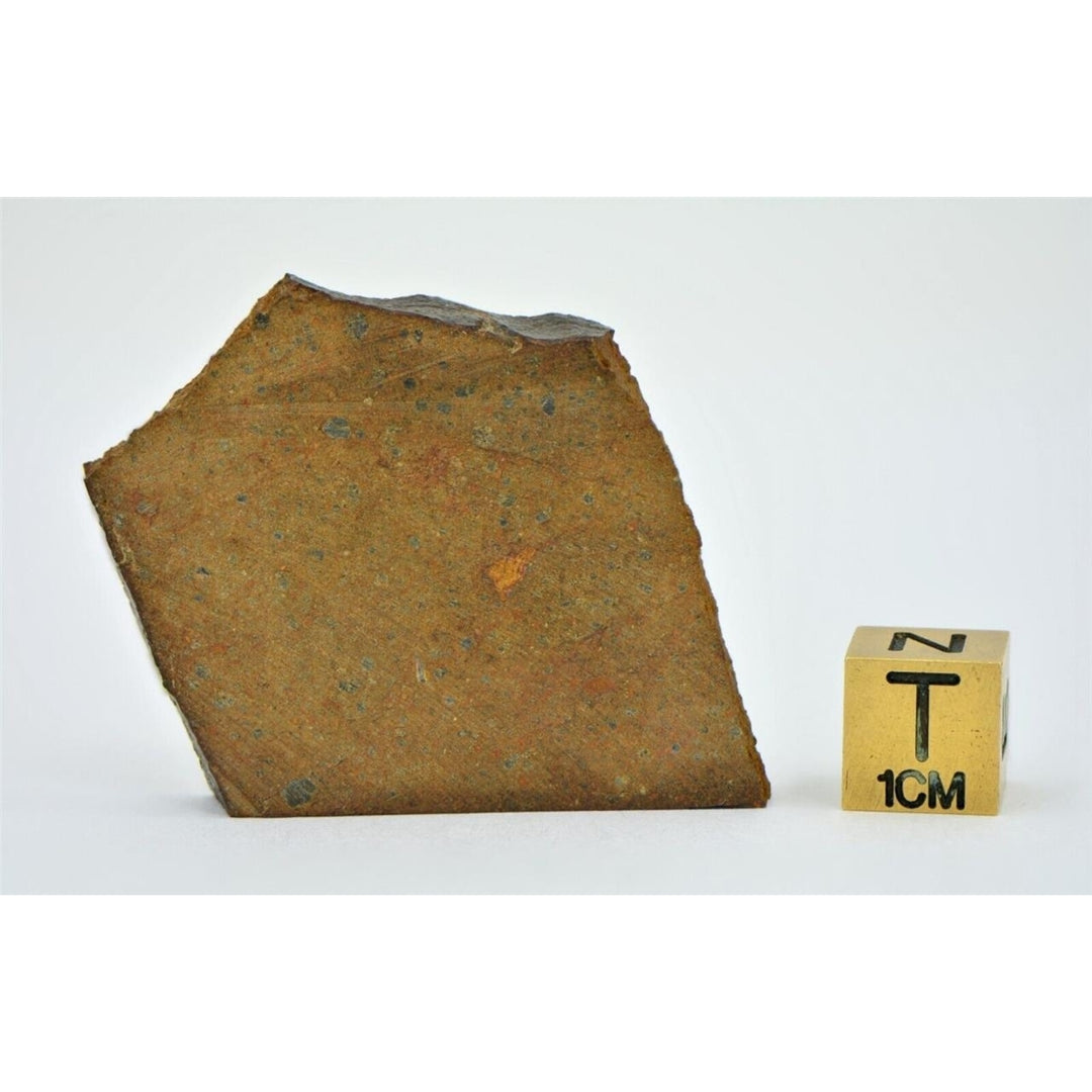 18.74g OUZINA R4 Chondrite Meteorite Slice - TOP METEORITE Image 2