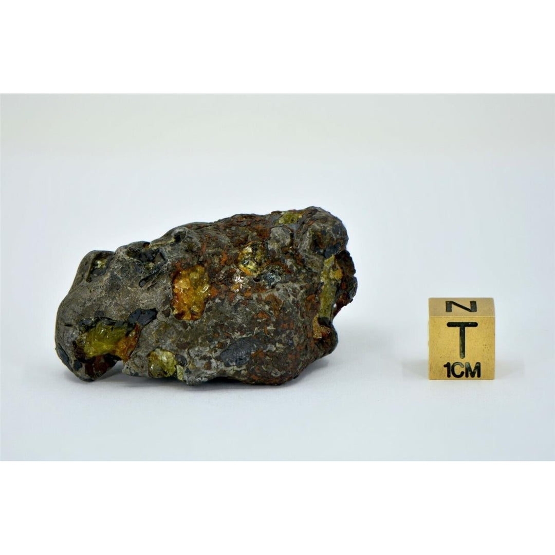 89.7g IMILAC Exceptional Pallasite Specimen - TOP METEORITE Image 6