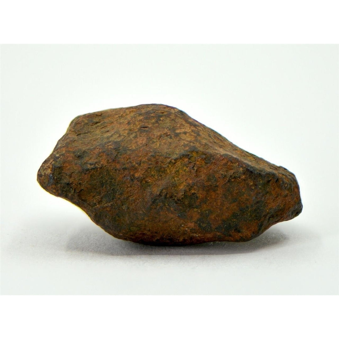 10.4 gram MUNDRABILLA meteorite - Iron Meteorite - TOP METEORITE Image 1