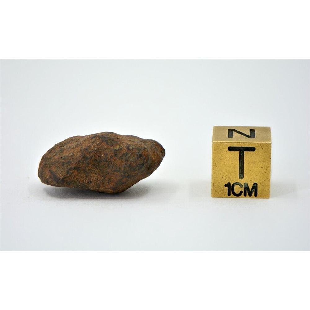 10.4 gram MUNDRABILLA meteorite - Iron Meteorite - TOP METEORITE Image 2