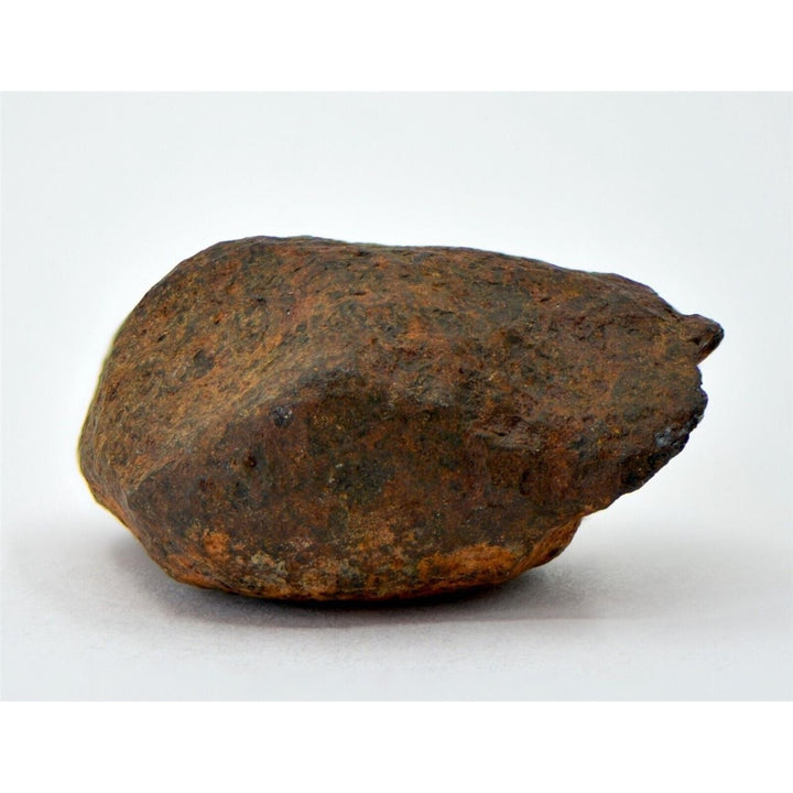 19.5 gram MUNDRABILLA meteorite - Iron Meteorite - TOP METEORITE Image 1