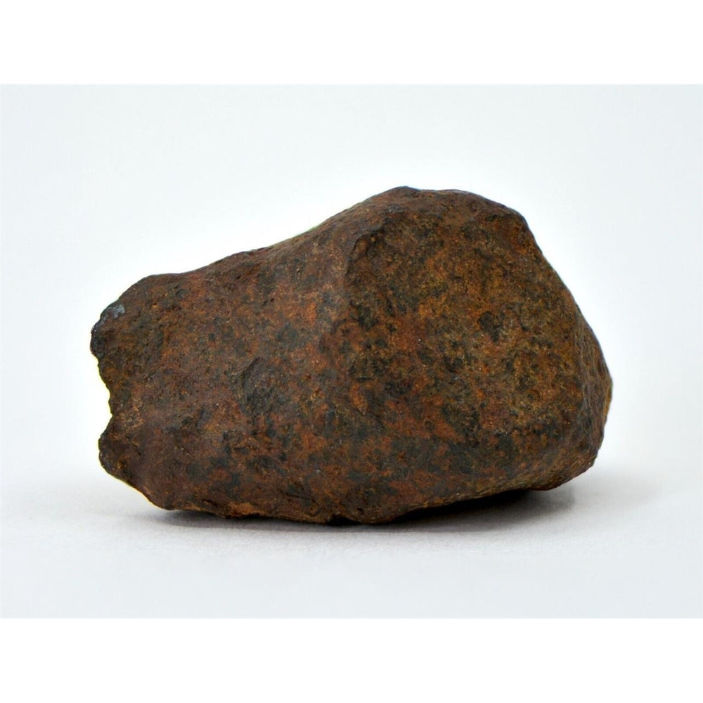 19.5 gram MUNDRABILLA meteorite - Iron Meteorite - TOP METEORITE Image 2