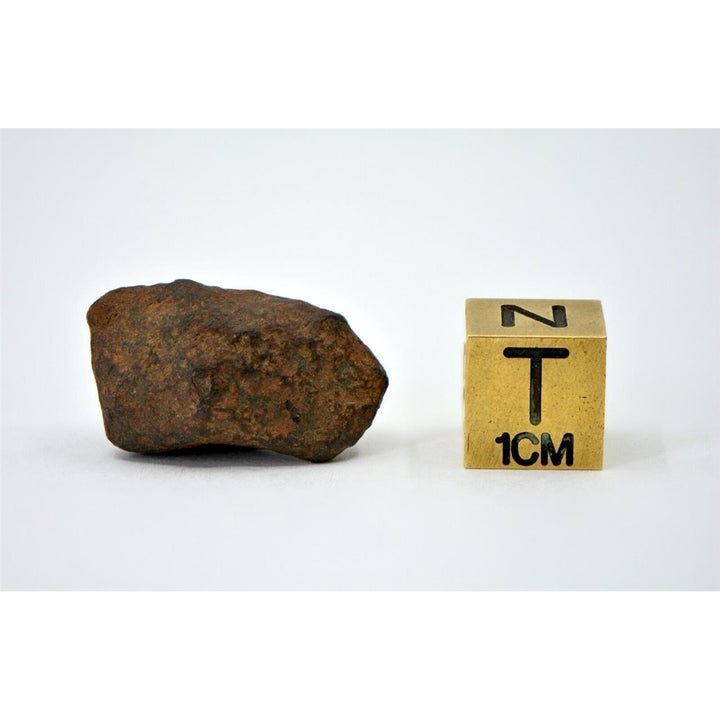 10.4 gram MUNDRABILLA meteorite - Iron Meteorite - TOP METEORITE Image 4