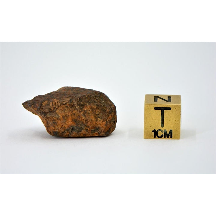 19.5 gram MUNDRABILLA meteorite - Iron Meteorite - TOP METEORITE Image 3