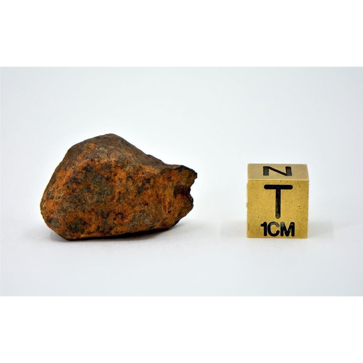 19.5 gram MUNDRABILLA meteorite - Iron Meteorite - TOP METEORITE Image 4