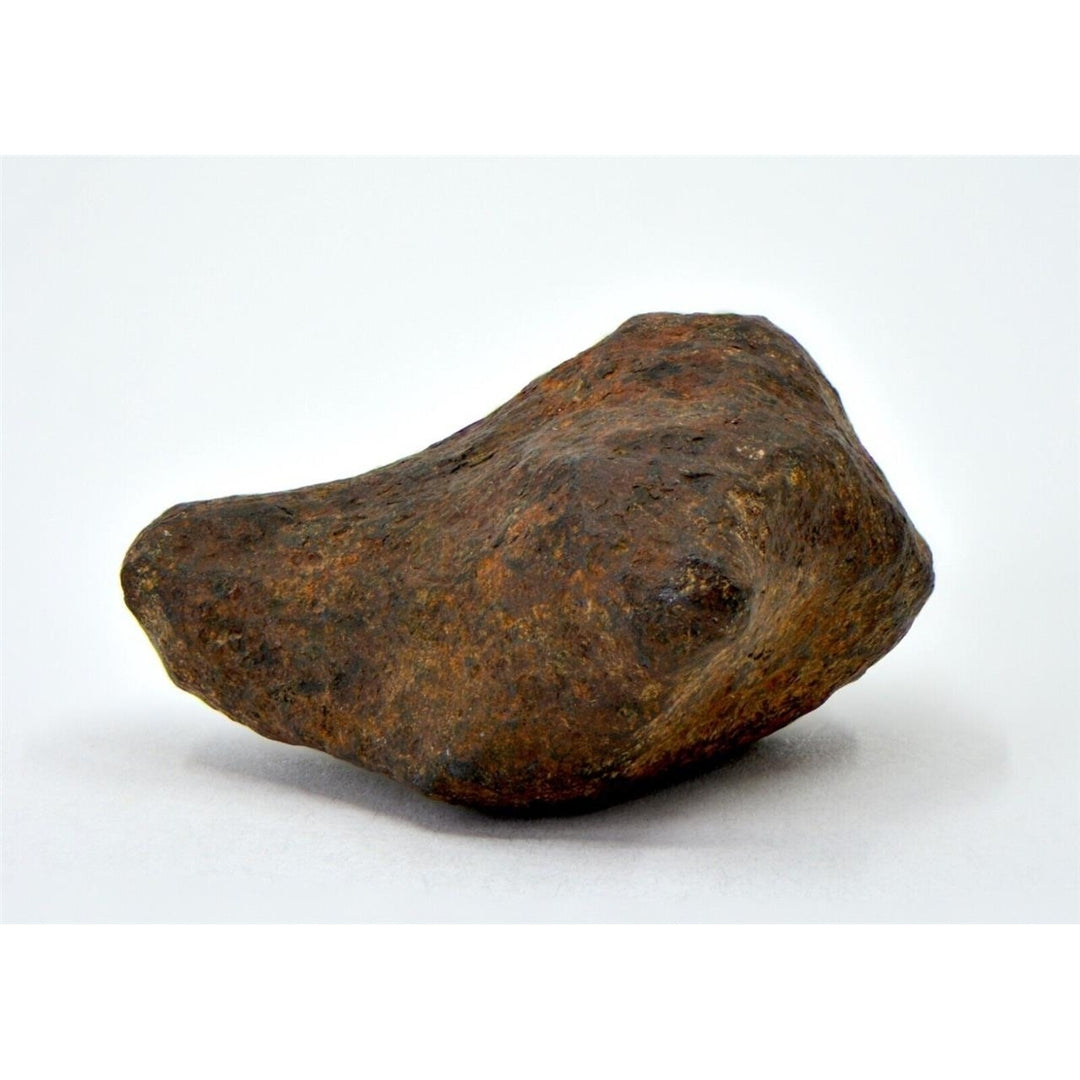 28.8 gram MUNDRABILLA meteorite - Iron Meteorite - TOP METEORITE Image 1