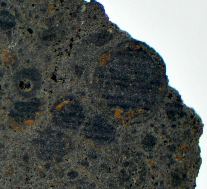 2.93g I CK4 Carbonaceous Chondrite Meteorite Slice - TOP METEORITE Image 3