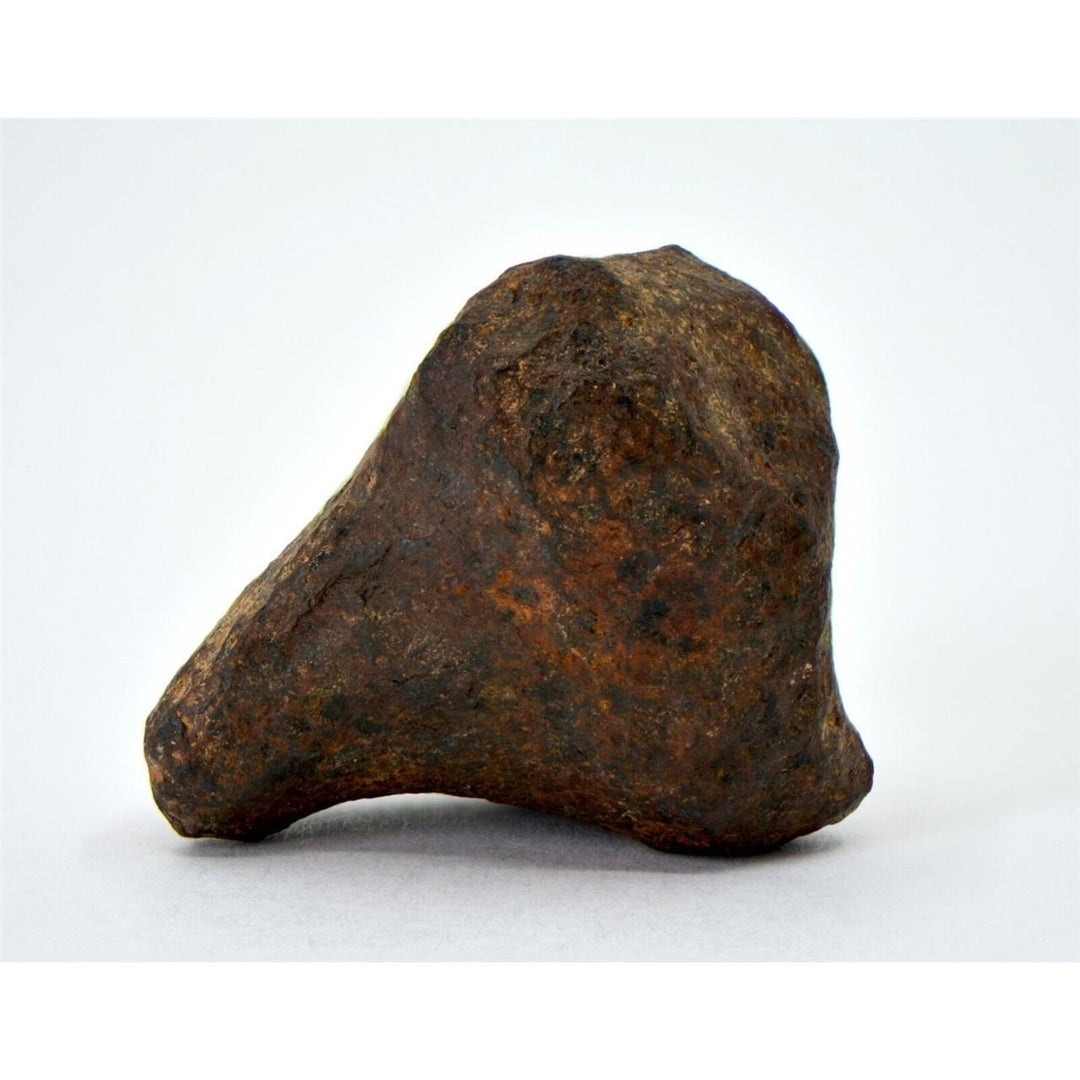 28.8 gram MUNDRABILLA meteorite - Iron Meteorite - TOP METEORITE Image 2