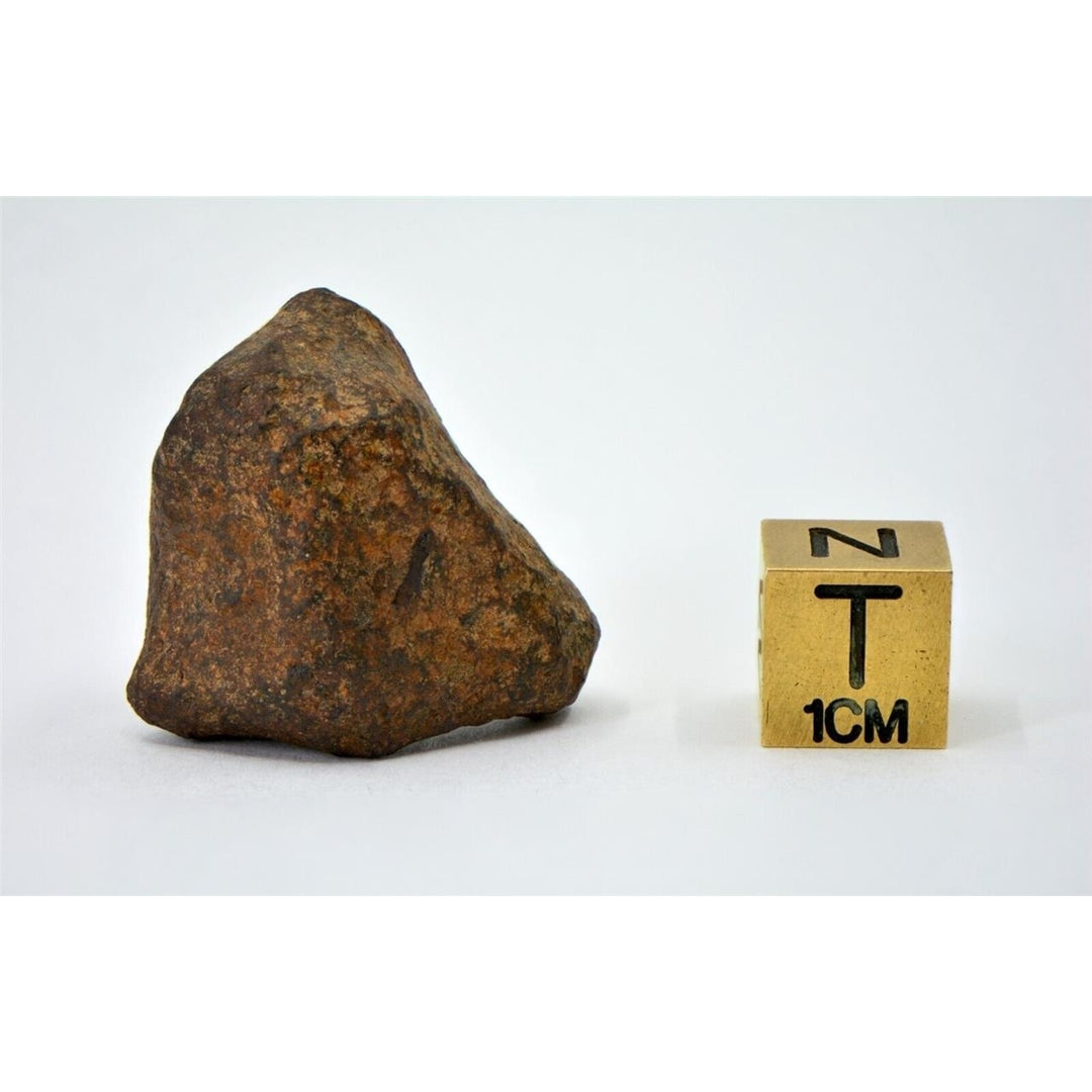 28.8 gram MUNDRABILLA meteorite - Iron Meteorite - TOP METEORITE Image 3