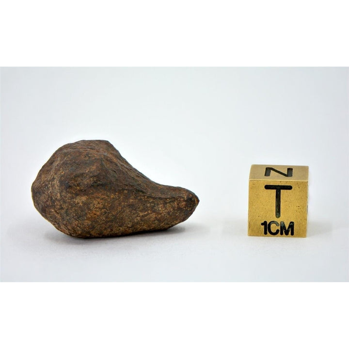 28.8 gram MUNDRABILLA meteorite - Iron Meteorite - TOP METEORITE Image 4