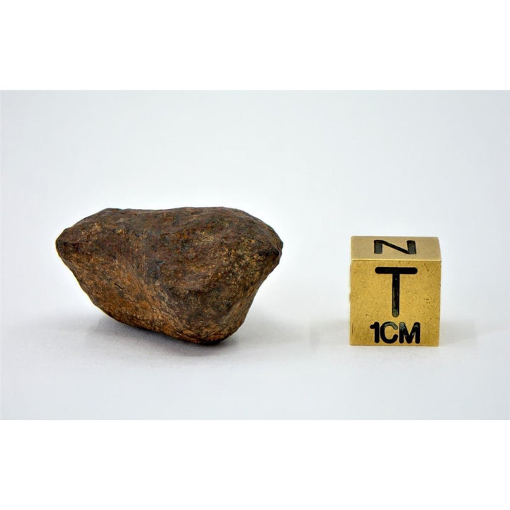 28.8 gram MUNDRABILLA meteorite - Iron Meteorite - TOP METEORITE Image 4