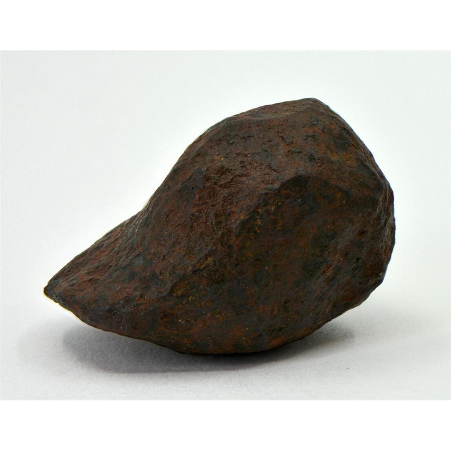 36.4 gram MUNDRABILLA meteorite - Iron Meteorite - TOP METEORITE Image 1