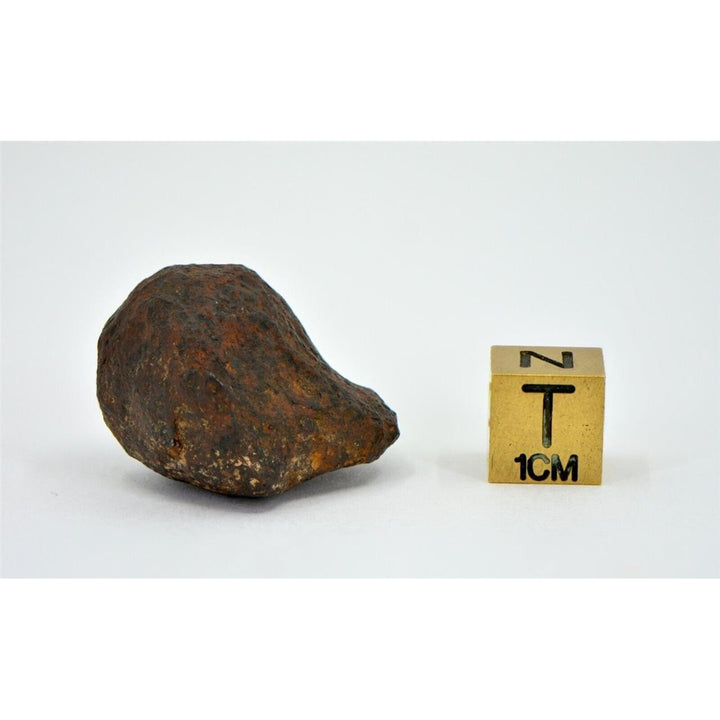 36.4 gram MUNDRABILLA meteorite - Iron Meteorite - TOP METEORITE Image 3