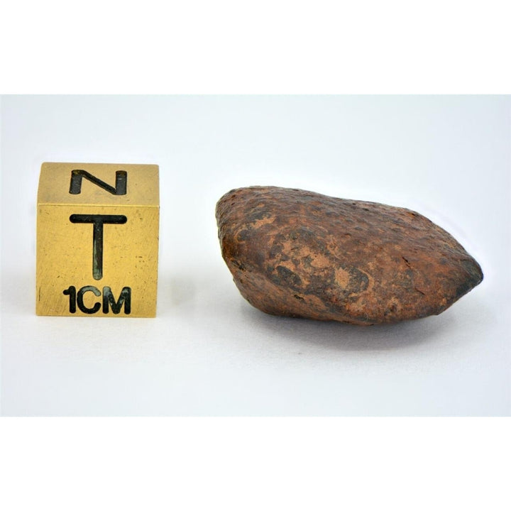 12.12 gram NWA 859 TAZA meteorite - Ungrouped Iron Meteorite I TOP METEORITE Image 4