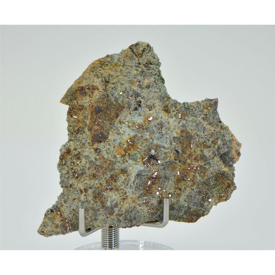 7.96g Lodranite Rare Primitive Achondrite Meteorite Slice I NWA 11901 - TOP Image 1