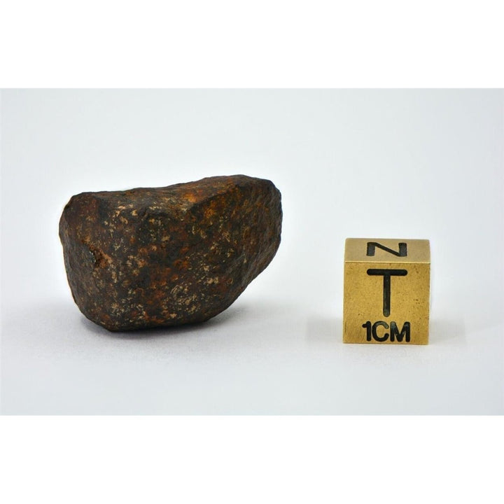 36.4 gram MUNDRABILLA meteorite - Iron Meteorite - TOP METEORITE Image 4