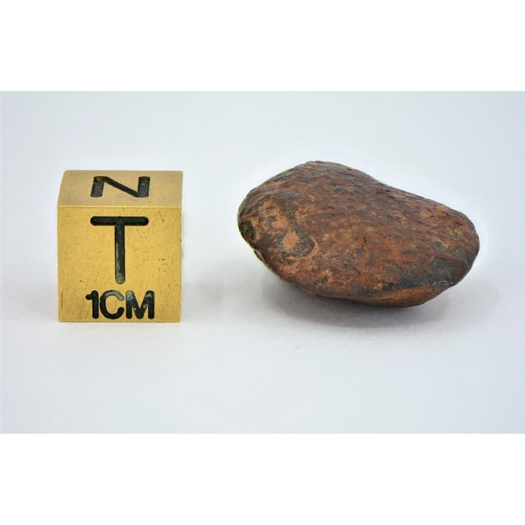 12.12 gram NWA 859 TAZA meteorite - Ungrouped Iron Meteorite I TOP METEORITE Image 6