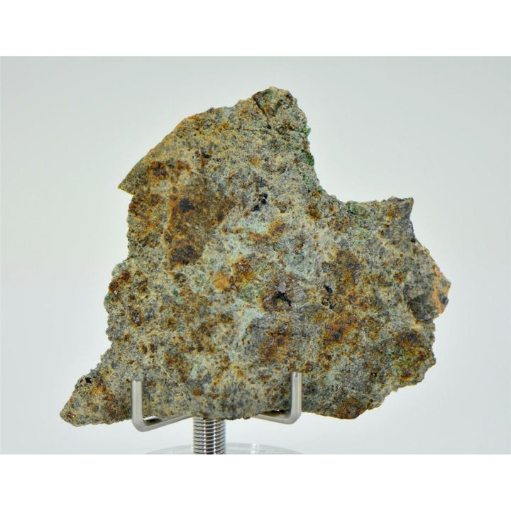 7.96g Lodranite Rare Primitive Achondrite Meteorite Slice I NWA 11901 - TOP Image 2