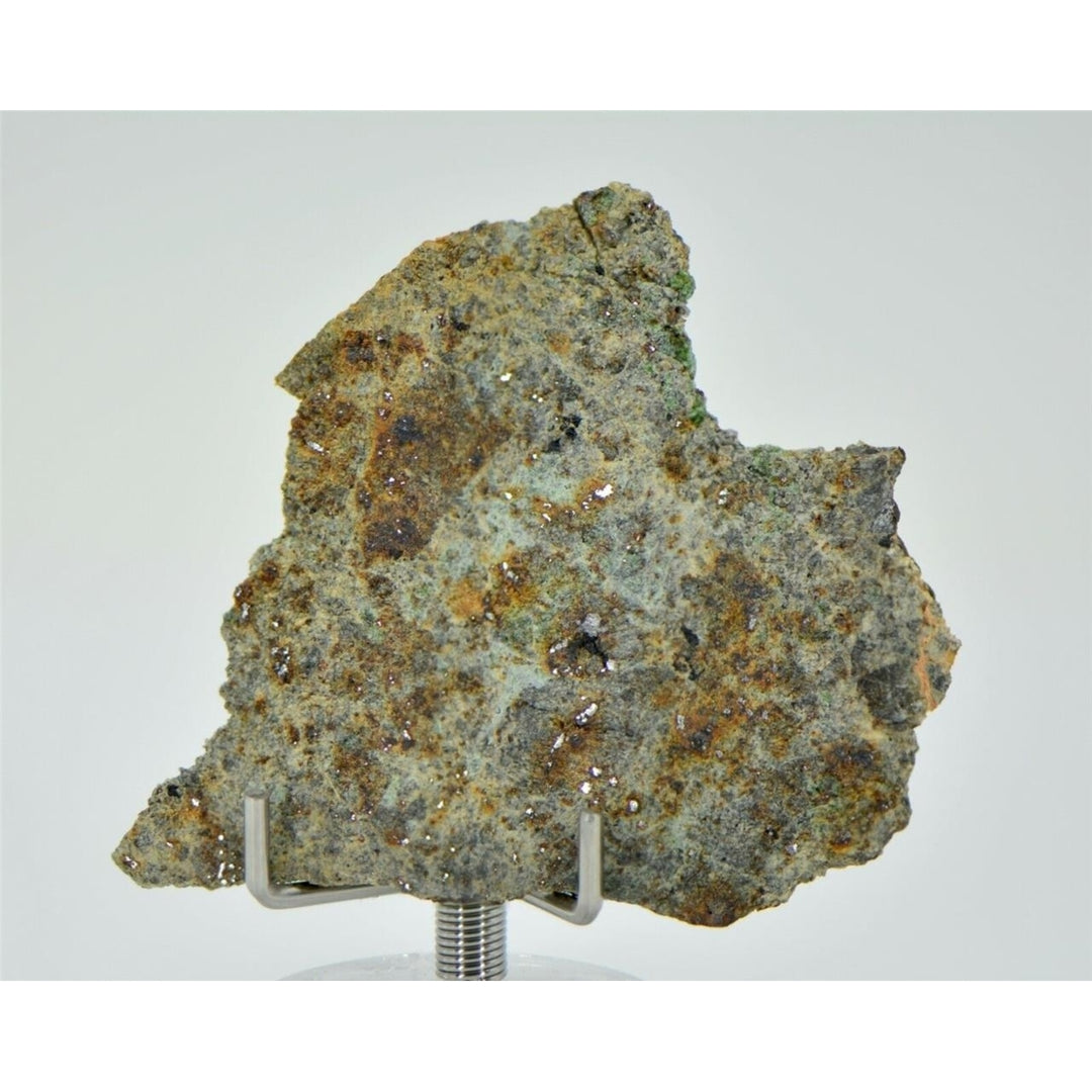 7.96g Lodranite Rare Primitive Achondrite Meteorite Slice I NWA 11901 - TOP Image 3