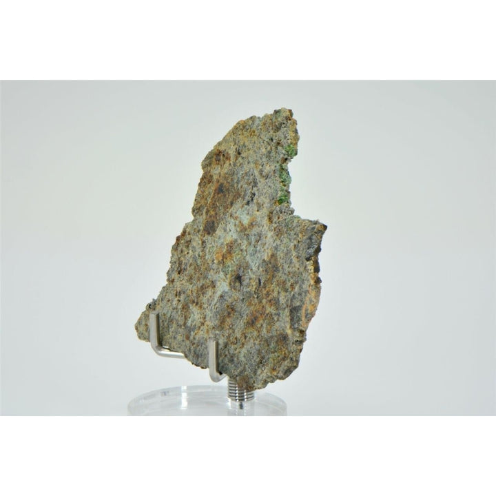 7.96g Lodranite Rare Primitive Achondrite Meteorite Slice I NWA 11901 - TOP Image 4