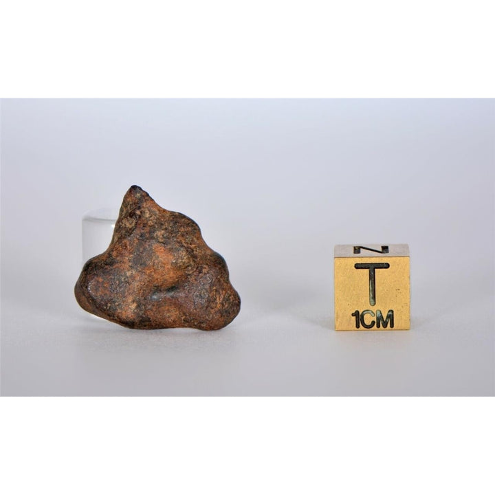 9.83g AGOUDAL Iron Meteorite - IIAB Iron TOP METEORITE Image 2