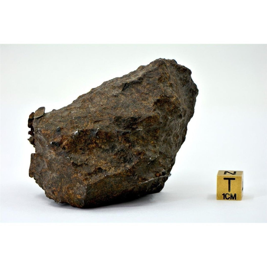 256.33g Winonaite Primitive Achondrite Meteorite I NWA 13917 - TOP METEORITE Image 4