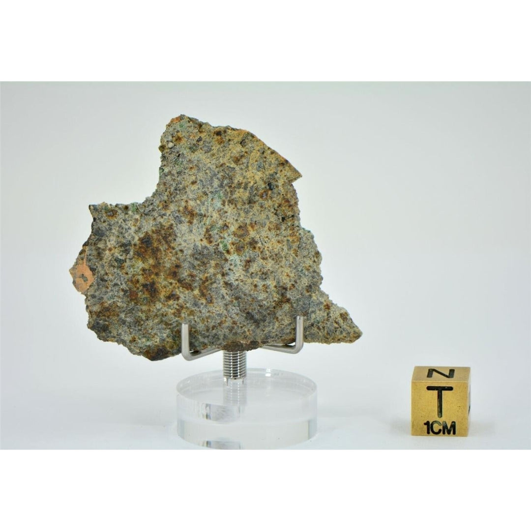 7.96g Lodranite Rare Primitive Achondrite Meteorite Slice I NWA 11901 - TOP Image 4