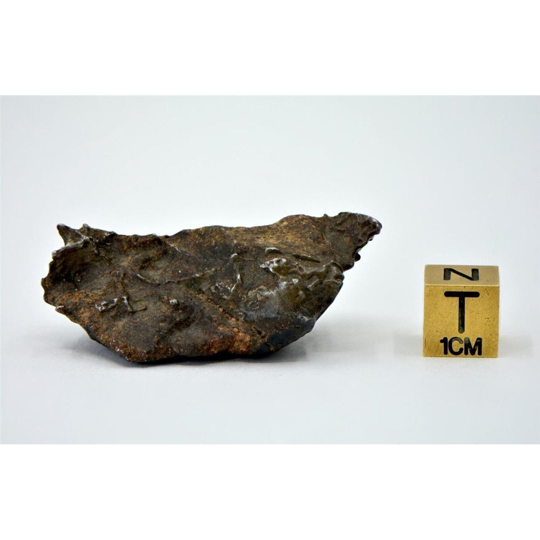 34.05g Winonaite Primitive Achondrite Meteorite I NWA 13917 - TOP METEORITE Image 4