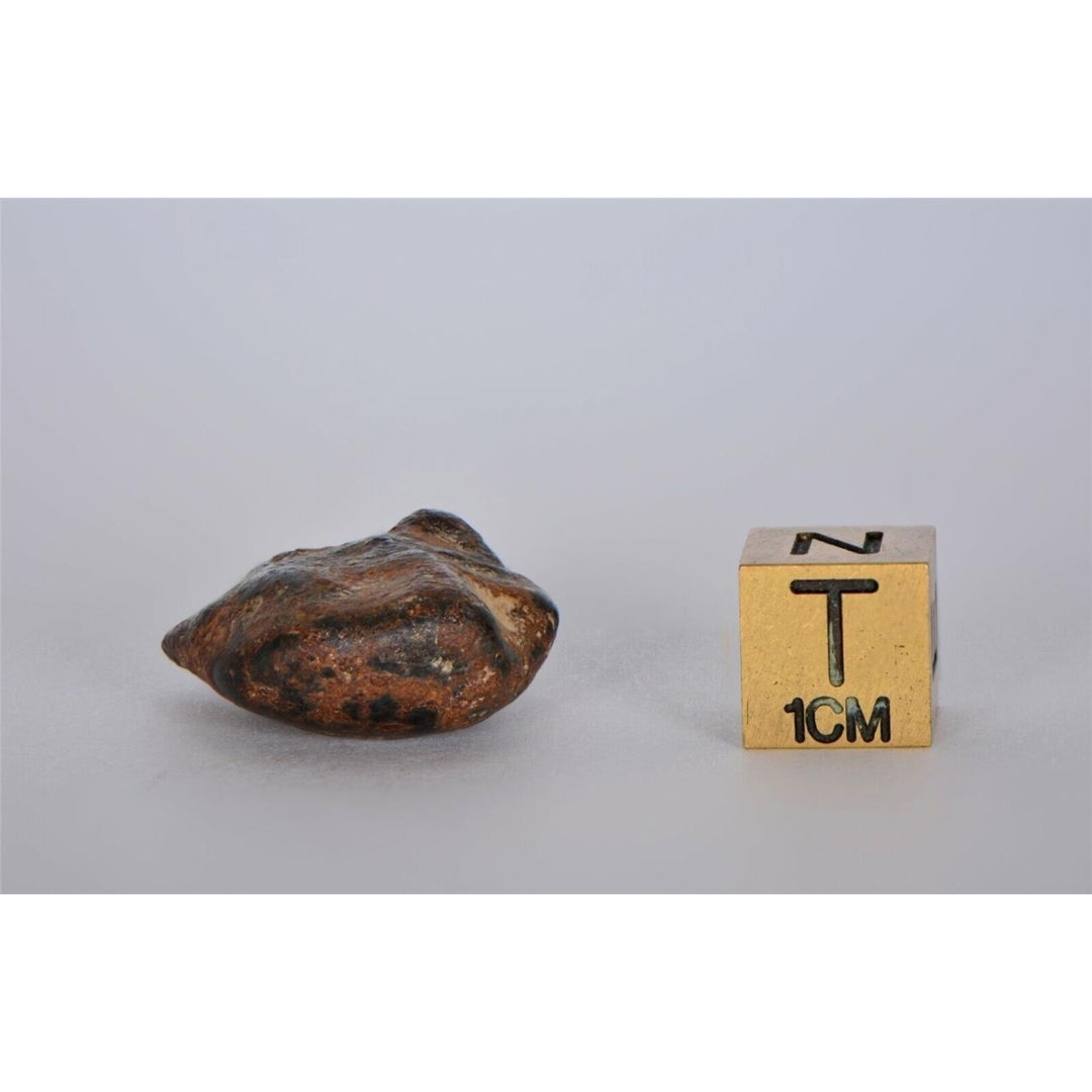 18.31g AGOUDAL Oriented Iron Meteorite - IIAB Iron TOP METEORITE Image 6