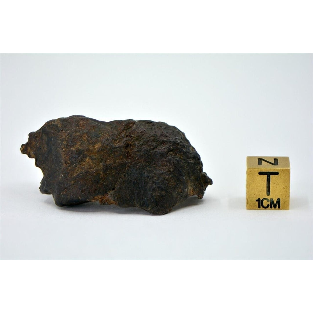 34.05g Winonaite Primitive Achondrite Meteorite I NWA 13917 - TOP METEORITE Image 6