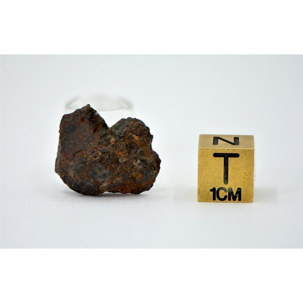 3.29g Mesosiderite Meteorite I NWA 8291 - TOP METEORITE Image 2