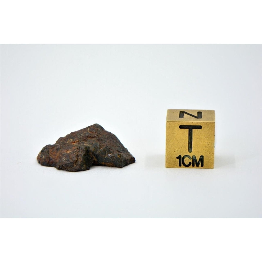 3.29g Mesosiderite Meteorite I NWA 8291 - TOP METEORITE Image 3