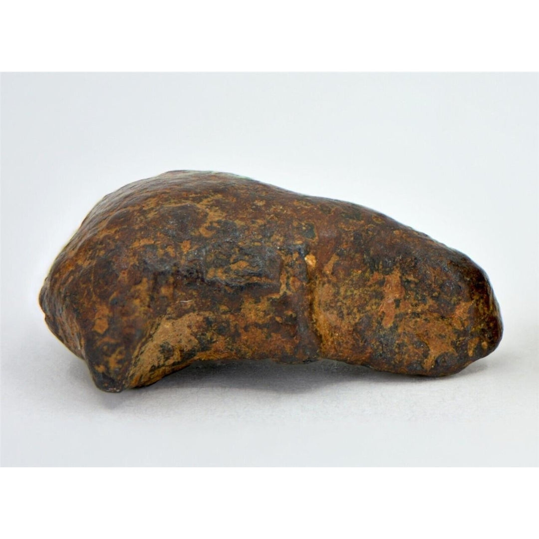 7.6 gram NWA 859 TAZA meteorite - Ungrouped Iron Meteorite I TOP METEORITE Image 1