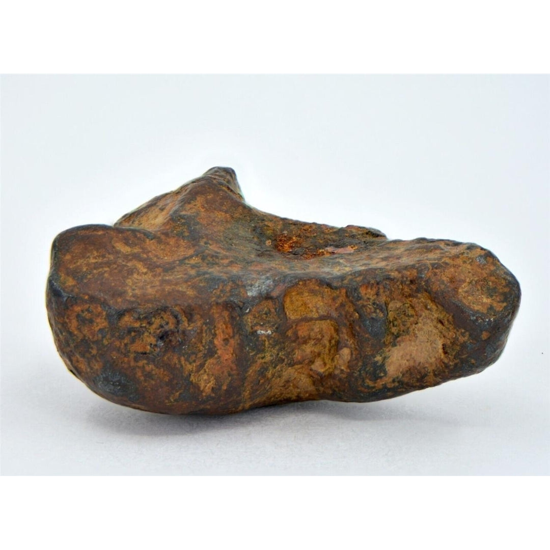 7.6 gram NWA 859 TAZA meteorite - Ungrouped Iron Meteorite I TOP METEORITE Image 2