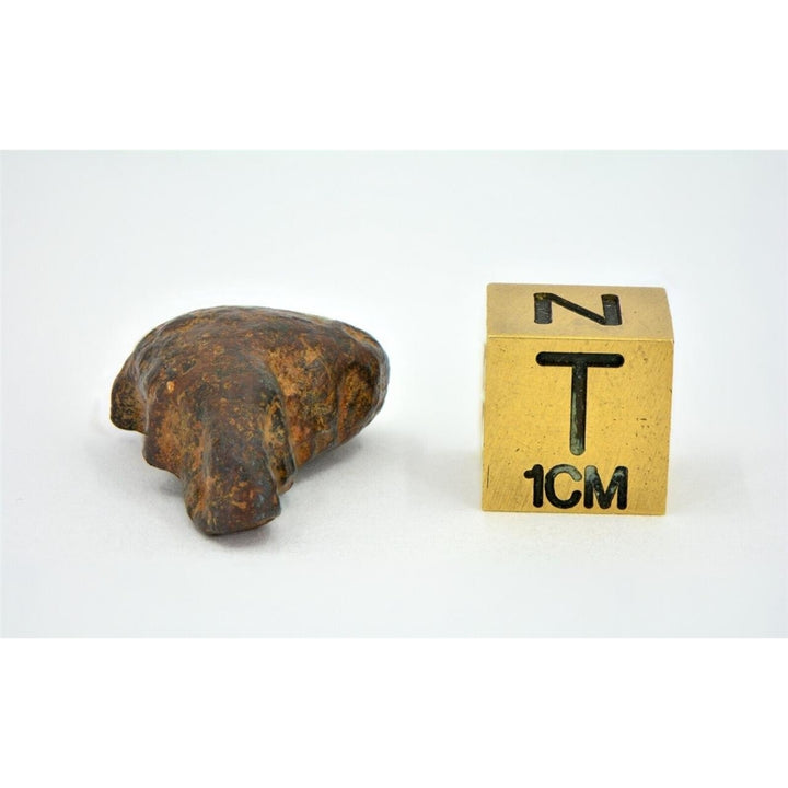 7.6 gram NWA 859 TAZA meteorite - Ungrouped Iron Meteorite I TOP METEORITE Image 3