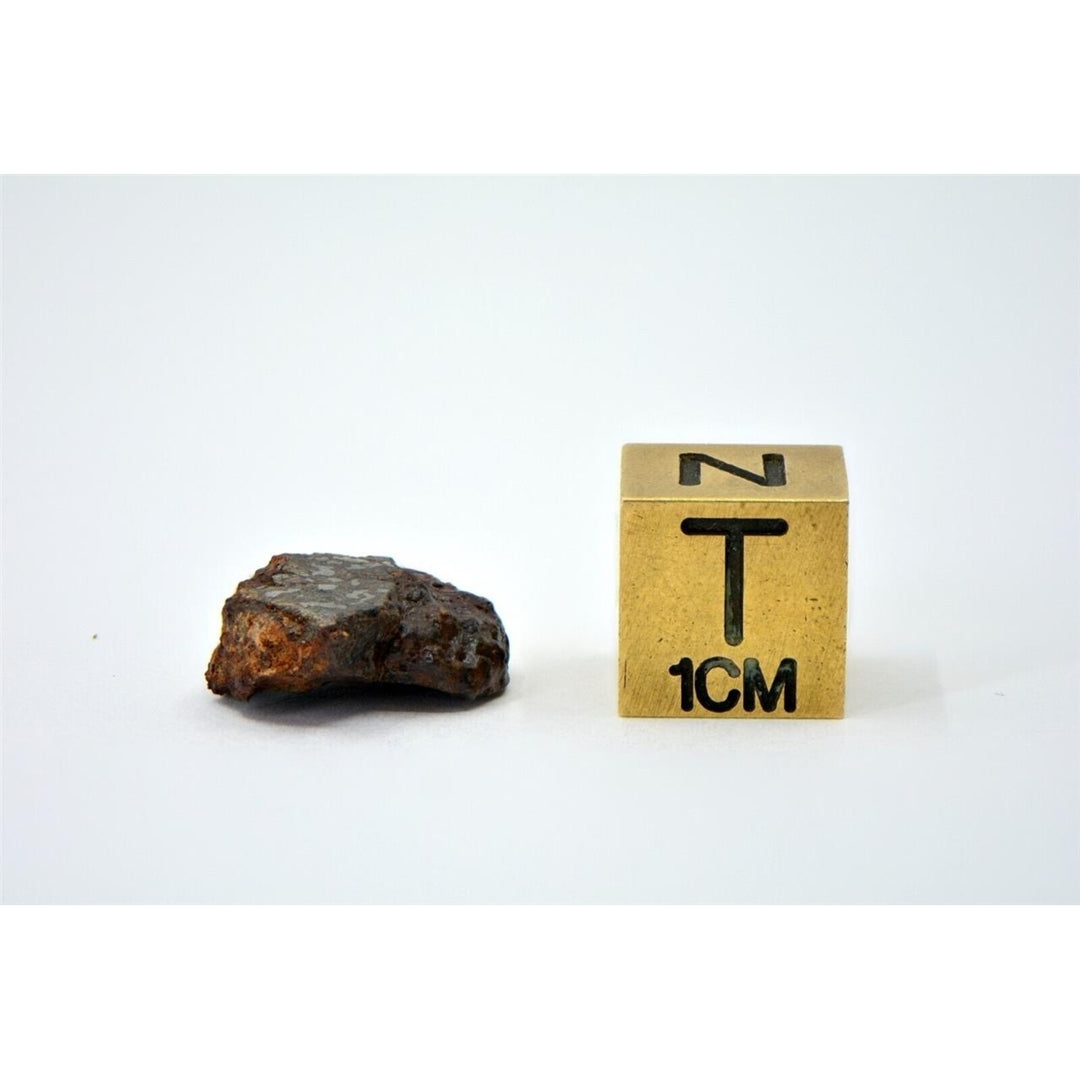1.75g Mesosiderite Meteorite I NWA 8291 - TOP METEORITE Image 2