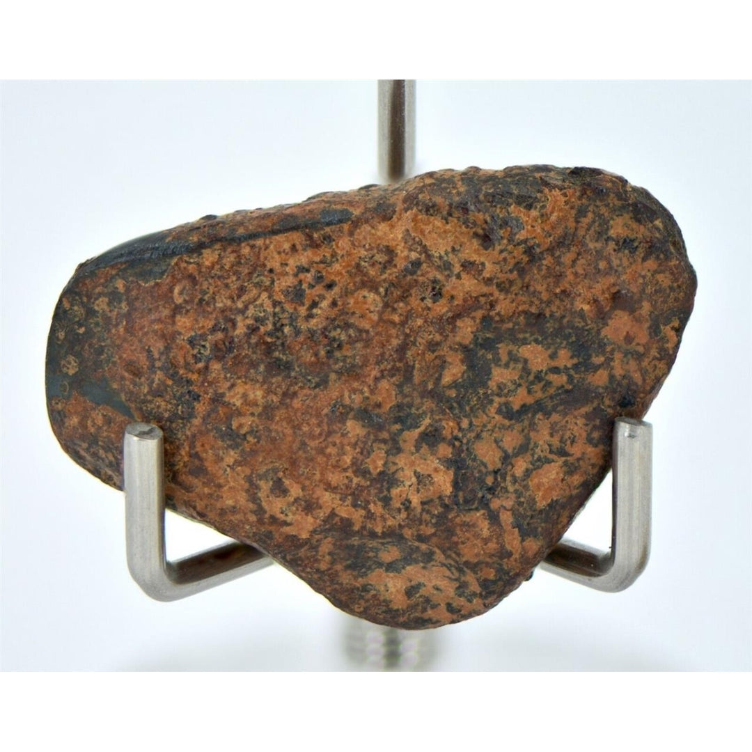 12.31 gram NWA 859 TAZA meteorite - Ungrouped Iron Meteorite I TOP METEORITE Image 1