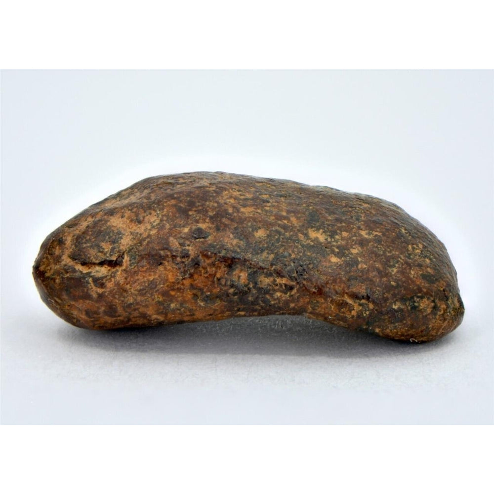 5.77 gram NWA 859 TAZA meteorite - Ungrouped Iron Meteorite I TOP METEORITE Image 2