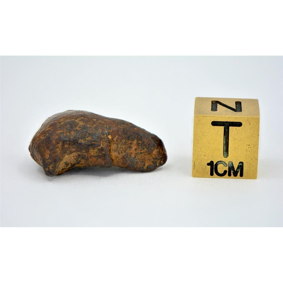 7.6 gram NWA 859 TAZA meteorite - Ungrouped Iron Meteorite I TOP METEORITE Image 4