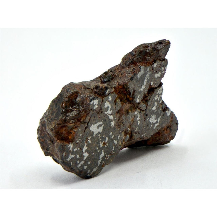7.26g Mesosiderite Meteorite I NWA 8291 - TOP METEORITE Image 1
