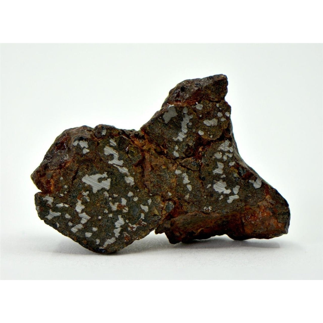 7.26g Mesosiderite Meteorite I NWA 8291 - TOP METEORITE Image 2