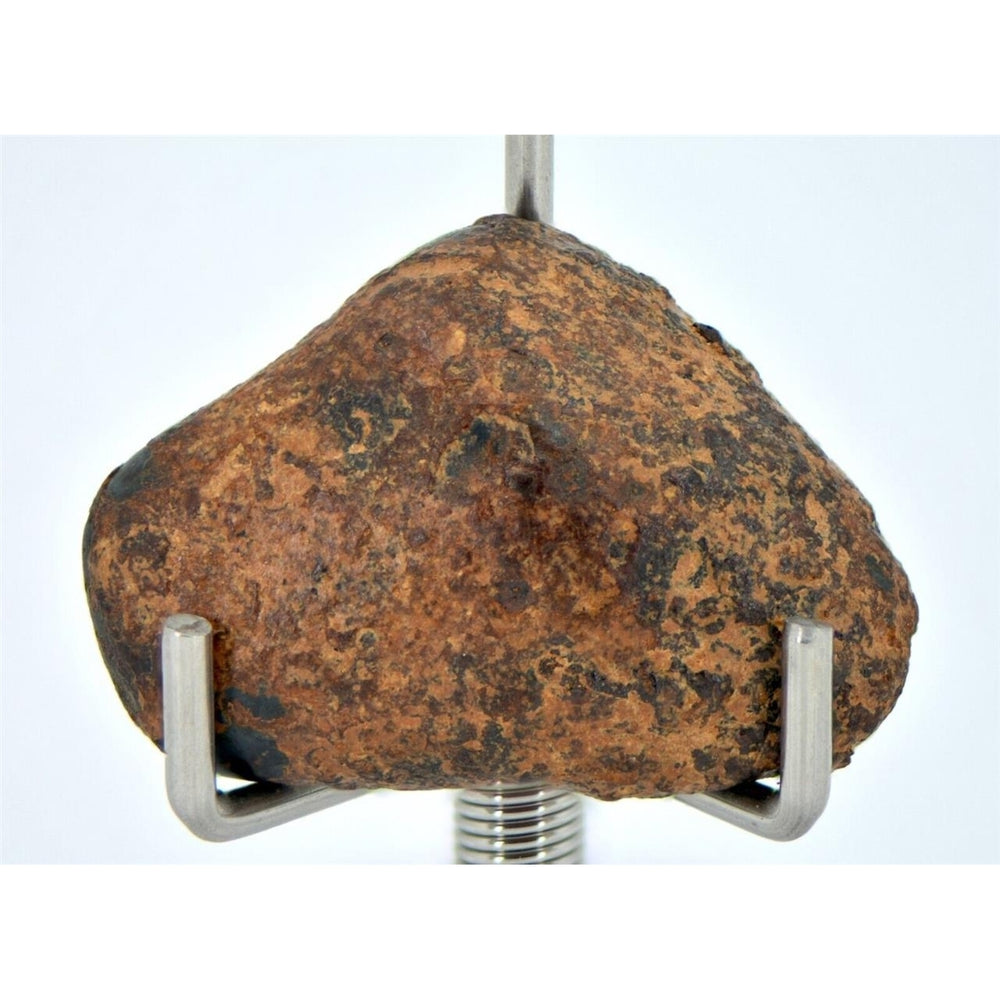 12.31 gram NWA 859 TAZA meteorite - Ungrouped Iron Meteorite I TOP METEORITE Image 2