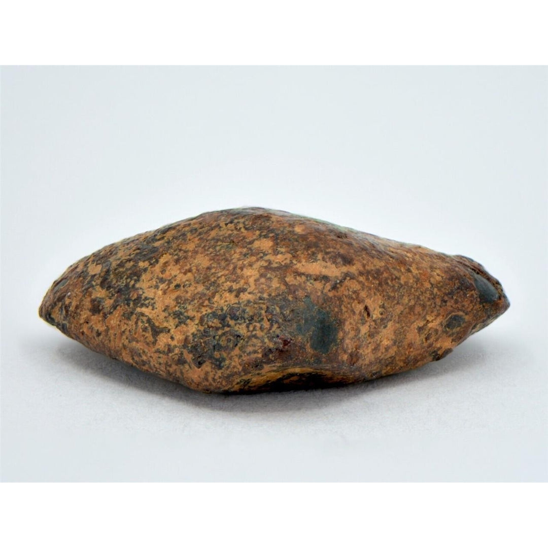 12.31 gram NWA 859 TAZA meteorite - Ungrouped Iron Meteorite I TOP METEORITE Image 3