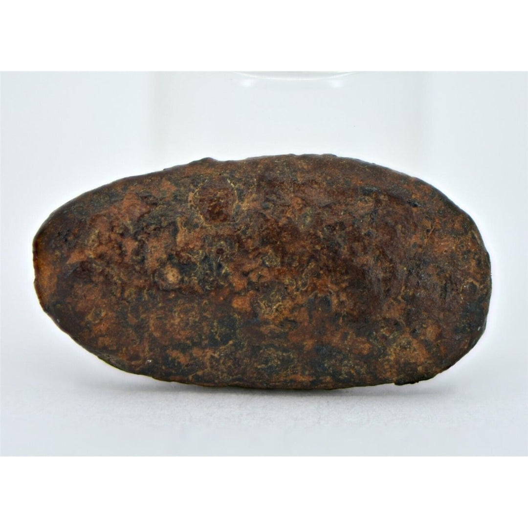 3.94 gram NWA 859 TAZA meteorite - Ungrouped Iron Meteorite I TOP METEORITE Image 2