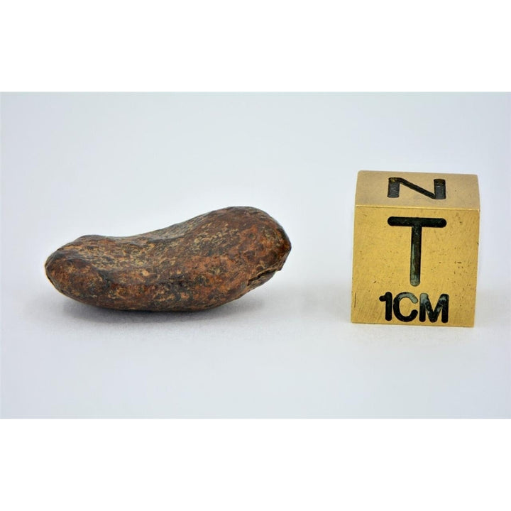 5.77 gram NWA 859 TAZA meteorite - Ungrouped Iron Meteorite I TOP METEORITE Image 4