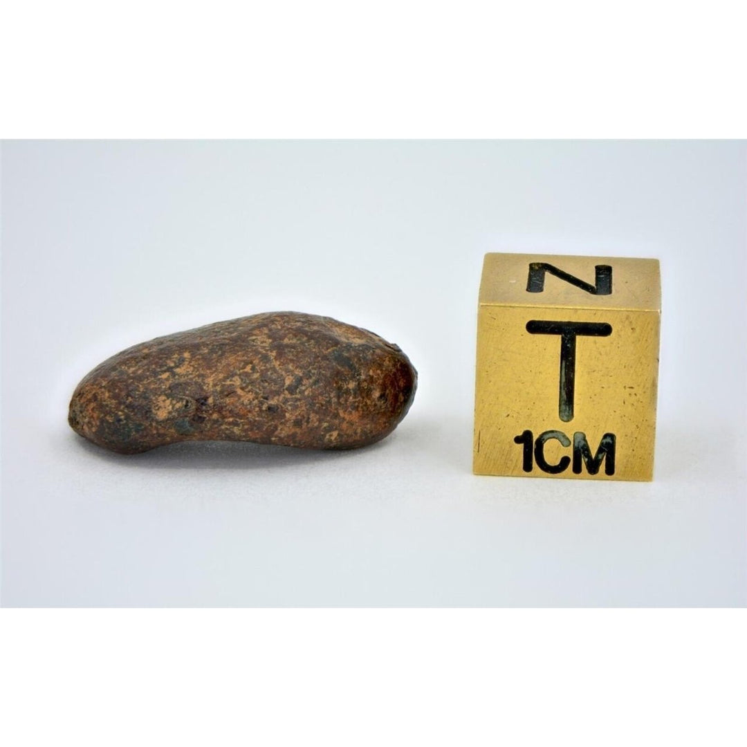 5.77 gram NWA 859 TAZA meteorite - Ungrouped Iron Meteorite I TOP METEORITE Image 4