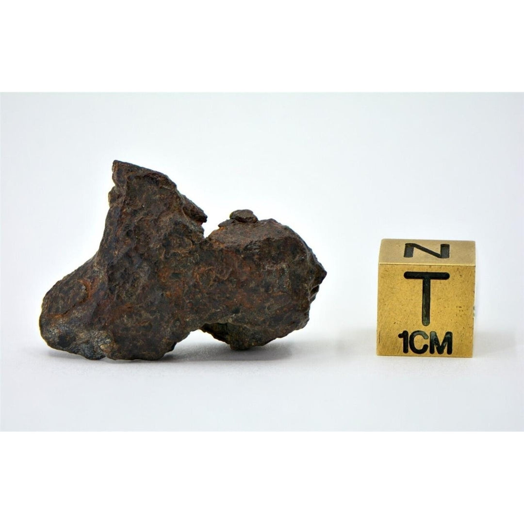 7.26g Mesosiderite Meteorite I NWA 8291 - TOP METEORITE Image 3