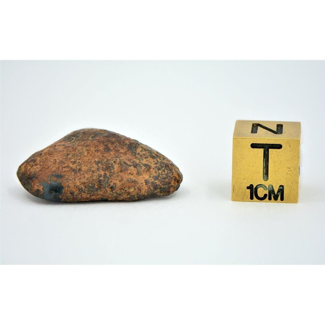 12.31 gram NWA 859 TAZA meteorite - Ungrouped Iron Meteorite I TOP METEORITE Image 6