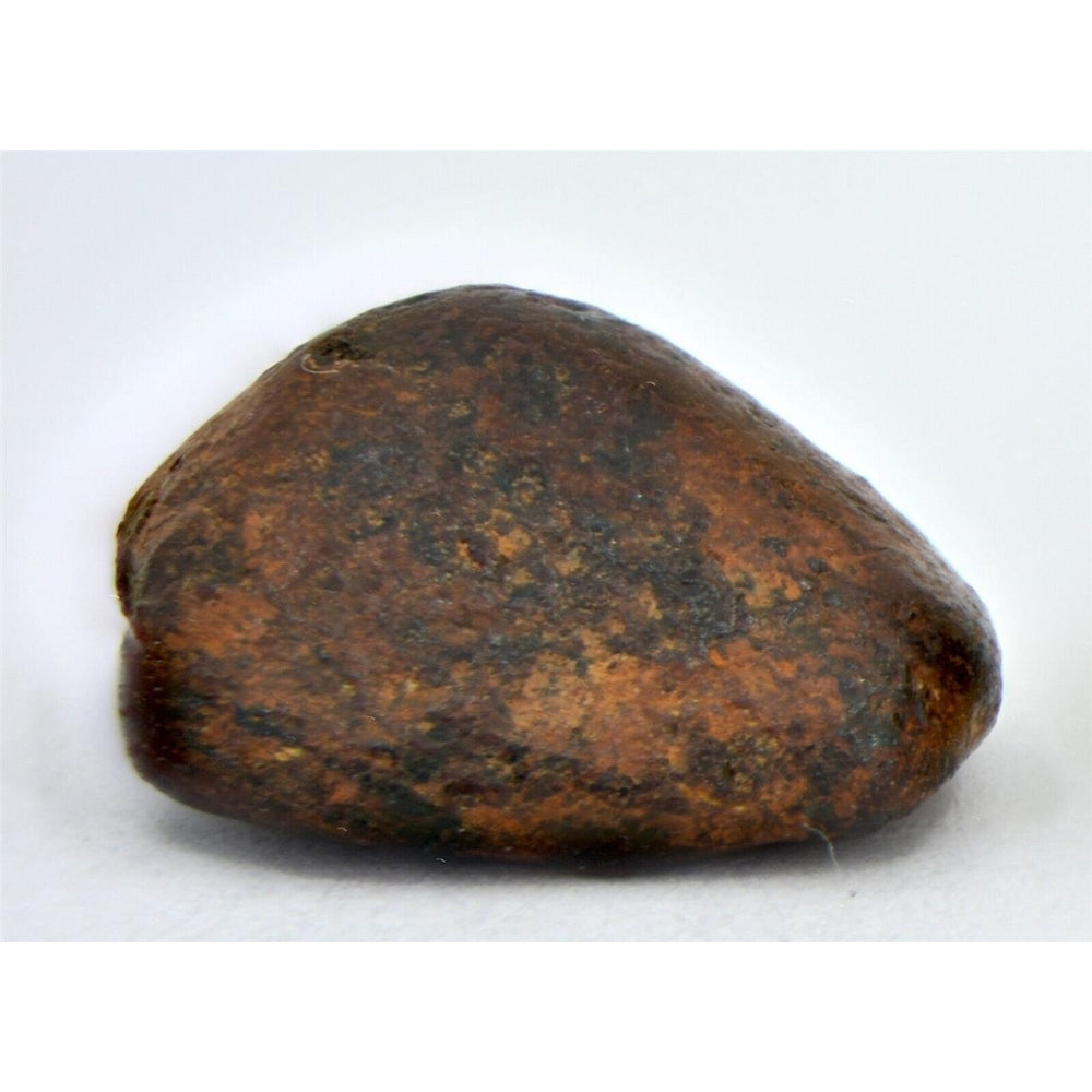 2.94 gram NWA 859 TAZA meteorite - Ungrouped Iron Meteorite I TOP METEORITE Image 2